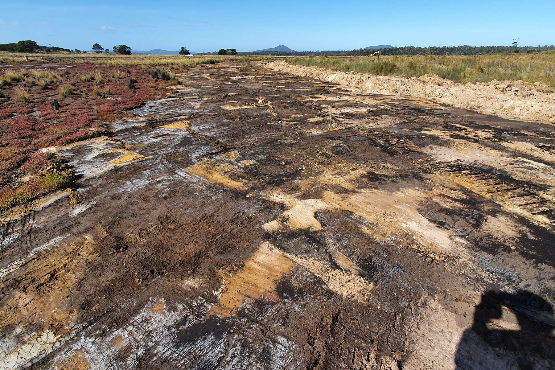 East coast saltmarsh scraped Photo: Nature Glenelg Trust.