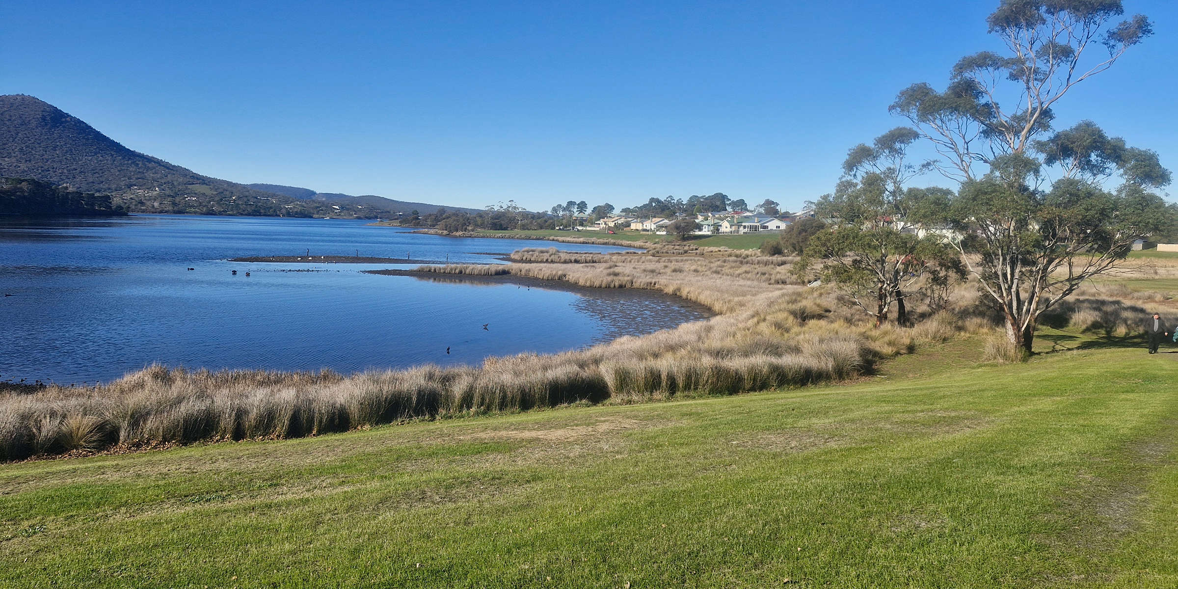 Windermere Bay on a sunny day Photo: Derwent Estuary Program.